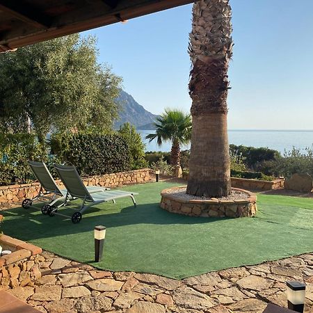 Appartamento Il bacio del sole Tertenìa Esterno foto