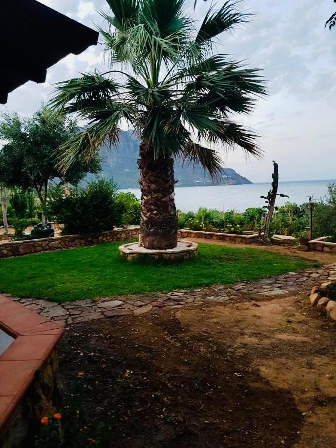 Appartamento Il bacio del sole Tertenìa Esterno foto